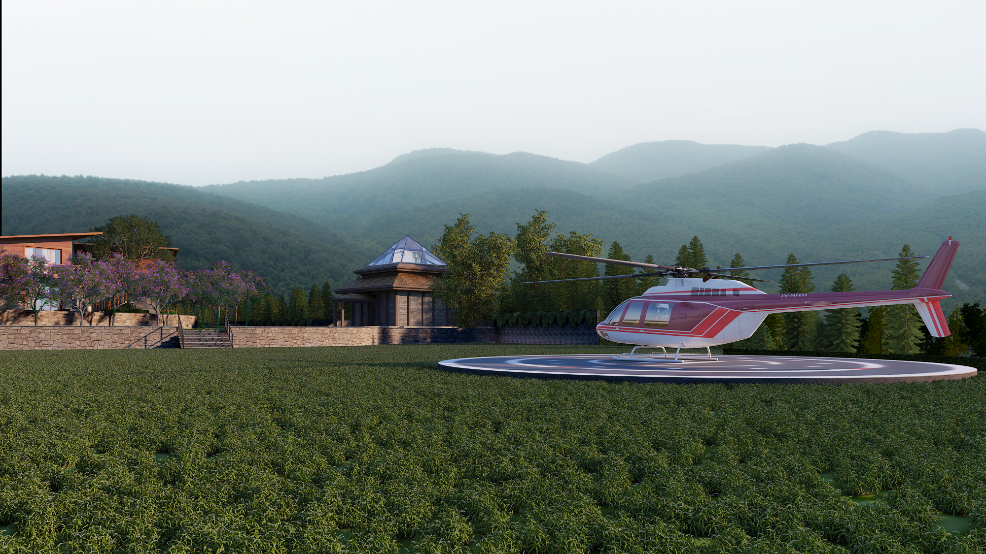 Private Helipad Aerial View